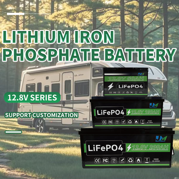 25.6v 20Ah 35Ah 50Ah 100Ah 150Ah 200Ah Lithium Batteries Solar Electric Motorcycles Yacht Battery