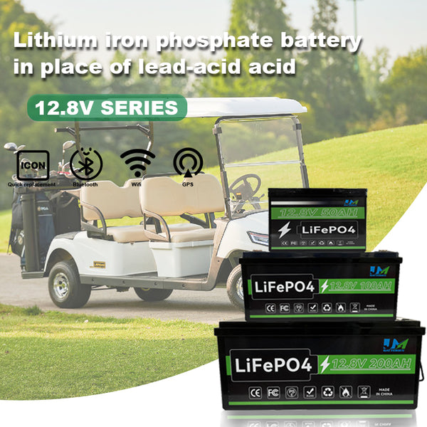 12.8v 10ah 20ah 30ah 50ah 100ah 150ah 200ah Li Ion Battery Cell Rechargeable LiFePO4 Battery