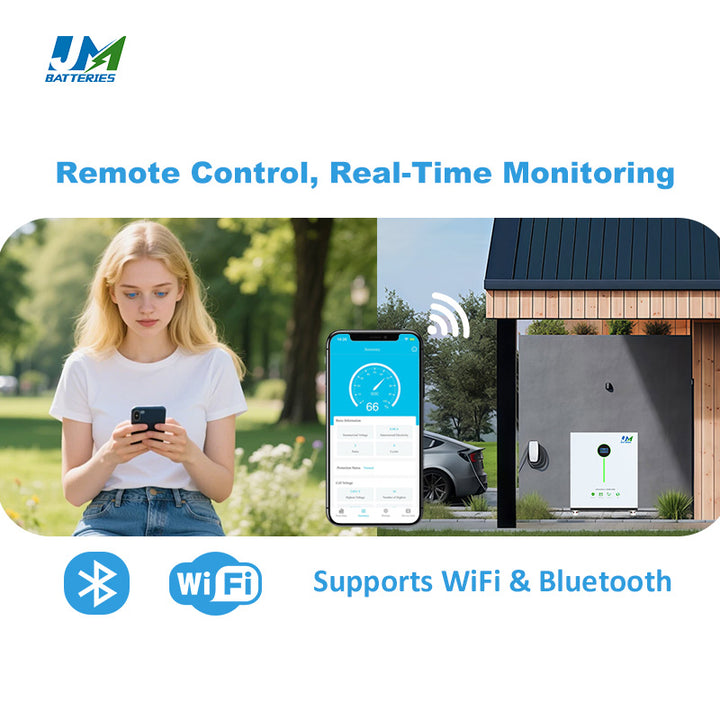 lithium lifepo4 battery​