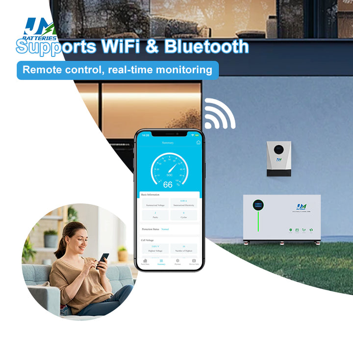 Lithium Ion Battery Pack