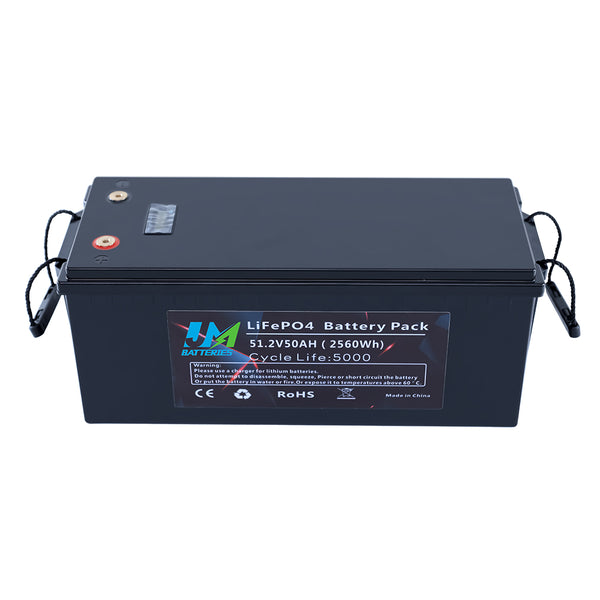 51.2V 50AH E Bike Lithium Batteries